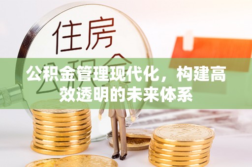 云和公积金管理现代化，构建高效透明的未来体系