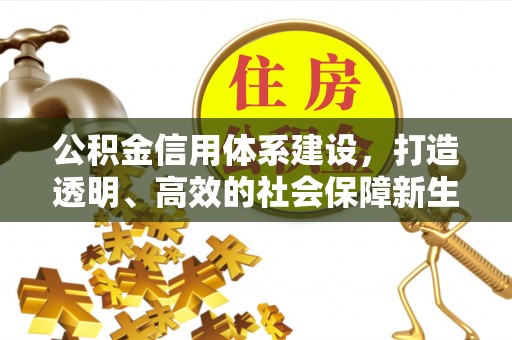 云和公积金信用体系建设，打造透明、高效的社会保障新生态