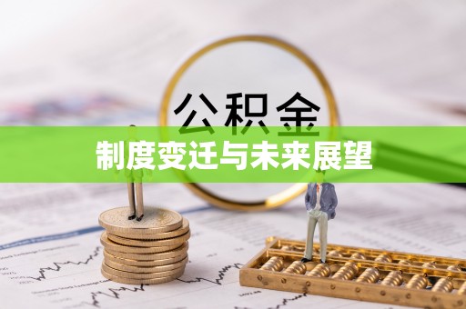 云和制度变迁与未来展望