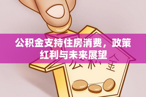 云和公积金支持住房消费，政策红利与未来展望