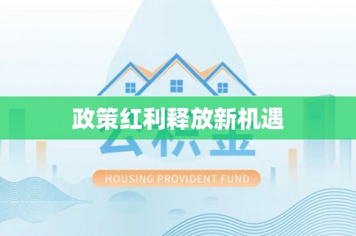 云和政策红利释放新机遇