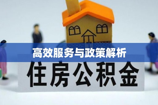 云和高效服务与政策解析