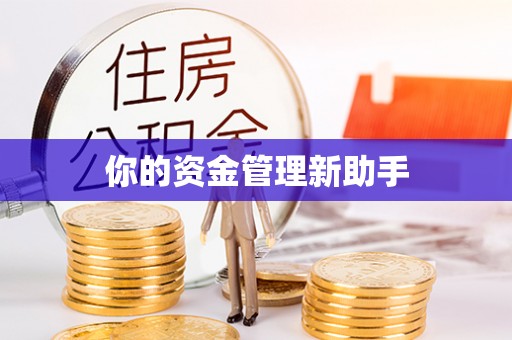 云和你的资金管理新助手