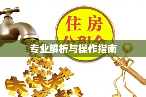 云和专业解析与操作指南