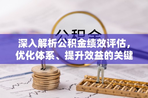 云和深入解析公积金绩效评估，优化体系、提升效益的关键路径