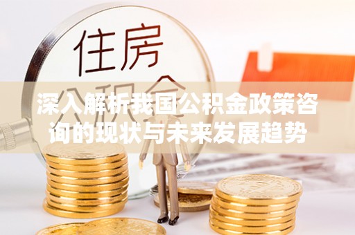 云和深入解析我国公积金政策咨询的现状与未来发展趋势