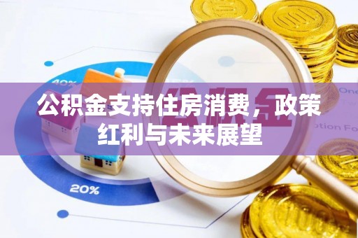 云和公积金支持住房消费，政策红利与未来展望