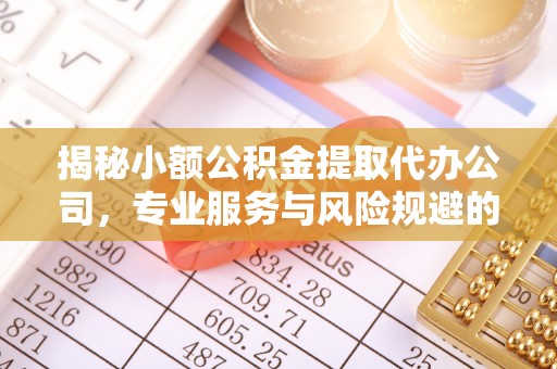 云和揭秘小额公积金提取代办公司，专业服务与风险规避的平衡艺术