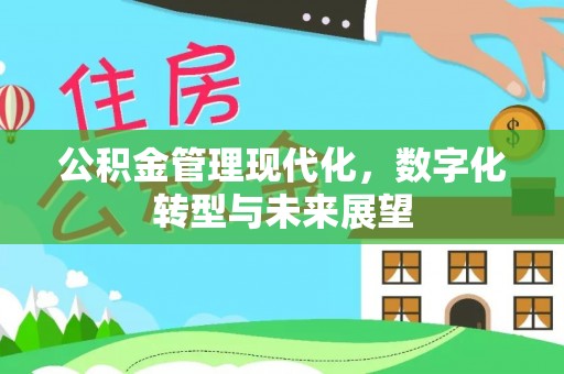 云和公积金管理现代化，数字化转型与未来展望