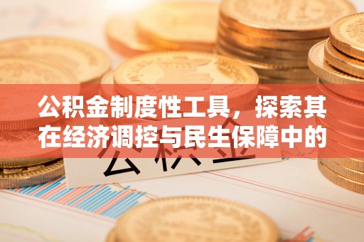 云和公积金制度性工具，探索其在经济调控与民生保障中的重要作用