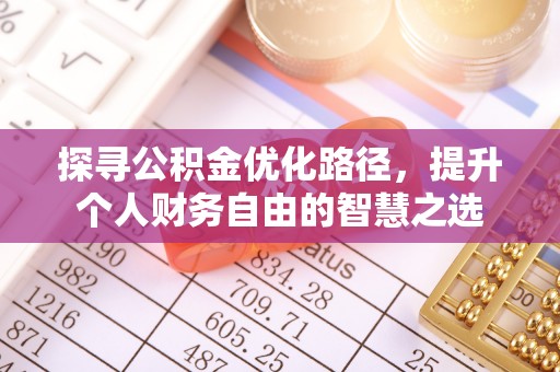云和探寻公积金优化路径，提升个人财务自由的智慧之选