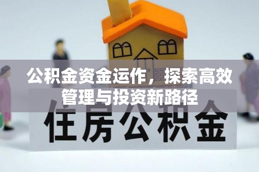 云和公积金资金运作，探索高效管理与投资新路径
