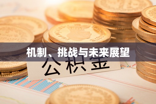 云和机制、挑战与未来展望